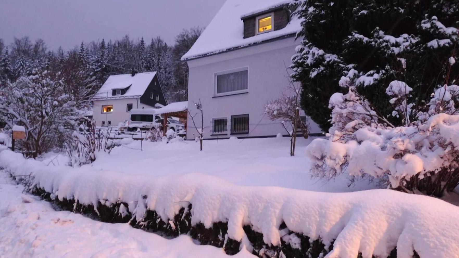 Yalet Ferienhaus 2 Appartementen Vlakbij Willingen Brilon-Wald Eksteriør billede